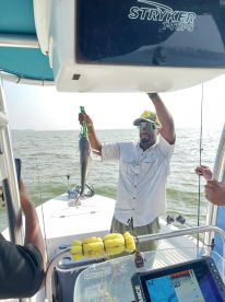 Willis Report Photo 1