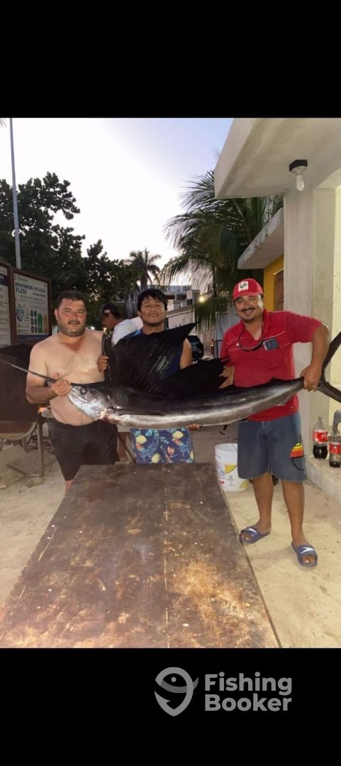 Playa Del Carmen Report Photo 0