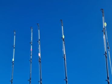 Waiheke Report Photo 4