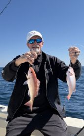 Snapper Smash!