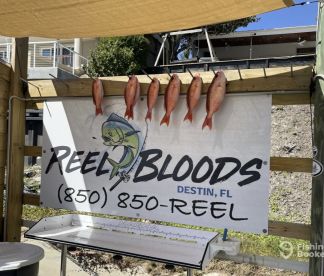 Beautiful day on the Gulf of America