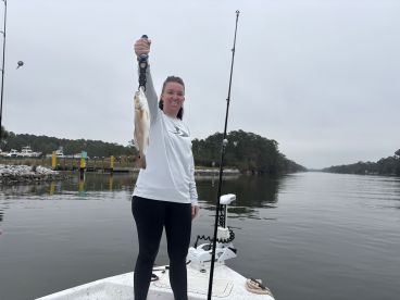 Gulf Shores Report Photo 1