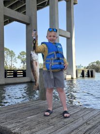 Gulf Shores Report Photo 2