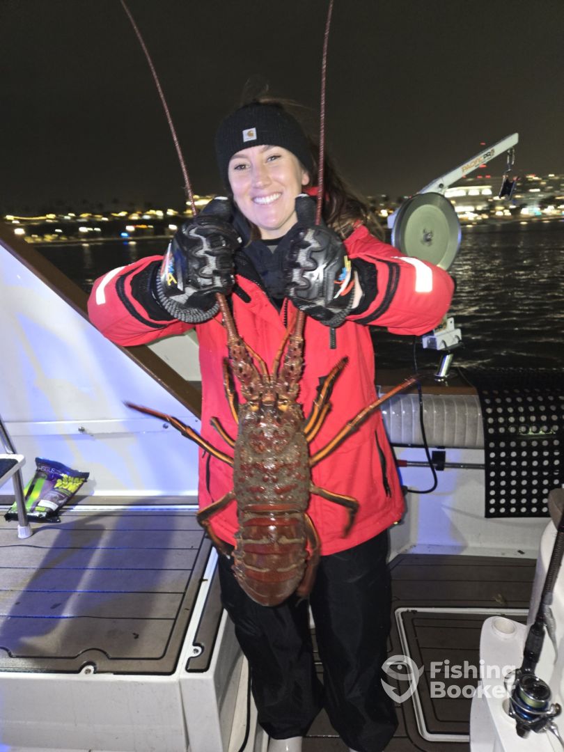 Los Angeles Report Photo 0