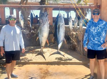 San Jose del Cabo Report Photo 2