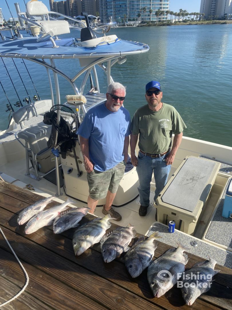 Orange Beach Report Photo 0