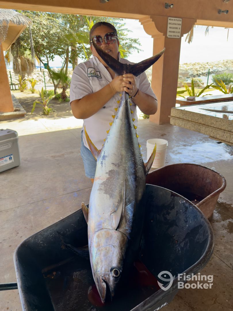 San Jose del Cabo Report Photo 0