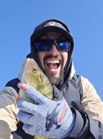 Erie Report Photo 1