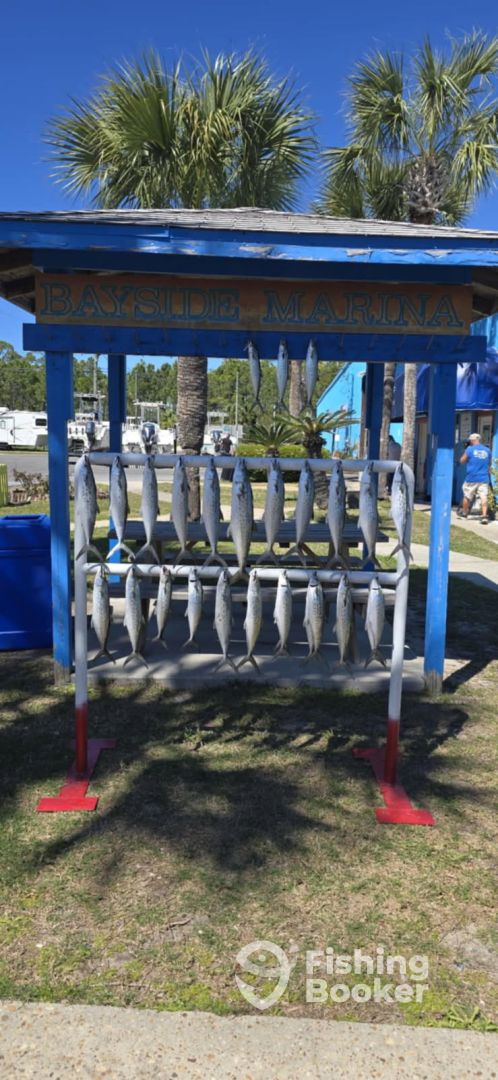 Panama City Beach Report Photo 0