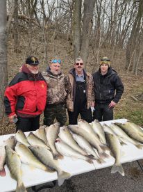 Awsome walleye action!!
