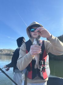 Branson Report Photo 1