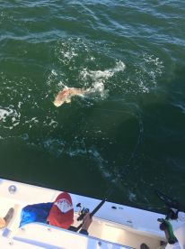 Virginia Beach Report Photo 1