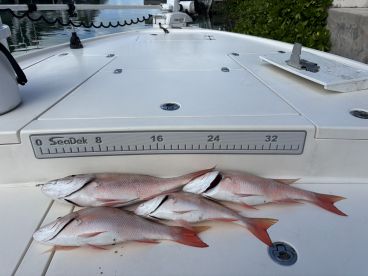 Key West Report Photo 2