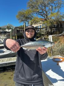 Murrells Inlet Report Photo 1