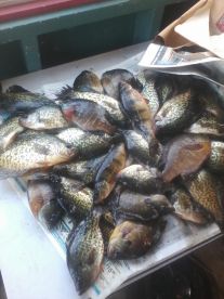 Williams Bay Report Photo 2