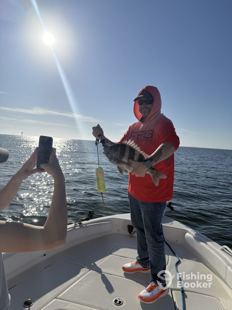 Dauphin Island Report Photo 0