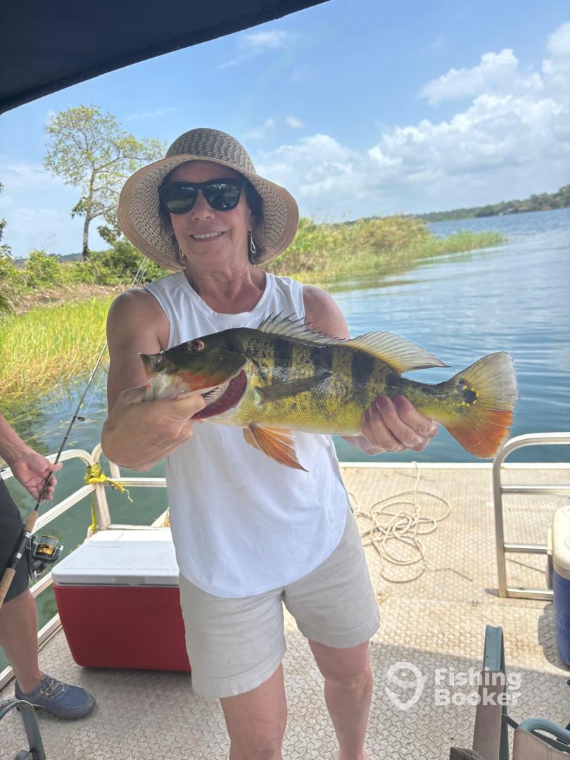 Nueva Arenosa Report Photo 0