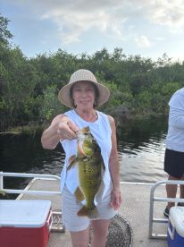 Nueva Arenosa Report Photo 1