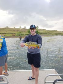 Nueva Arenosa Report Photo 4