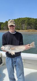 Virginia Beach Report Photo 2