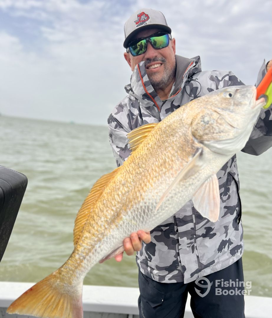 Corpus Christi Report Photo 0
