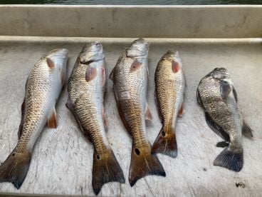 Back Bay Guide Service