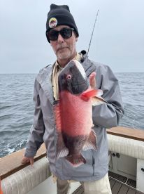 Sheephead sculpin and more 