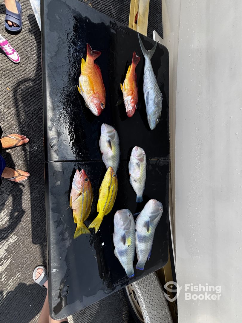 Kailua-Kona Report Photo 0