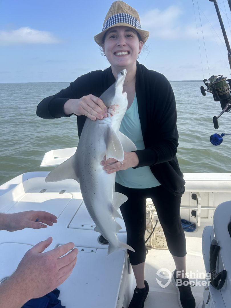 Hilton Head Island Report Photo 0