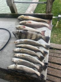 Port Isabel Report Photo 1