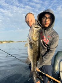 Lake Tarpon Report Photo 1