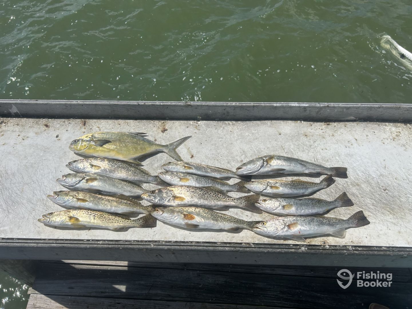 Fort Myers Report Photo 0