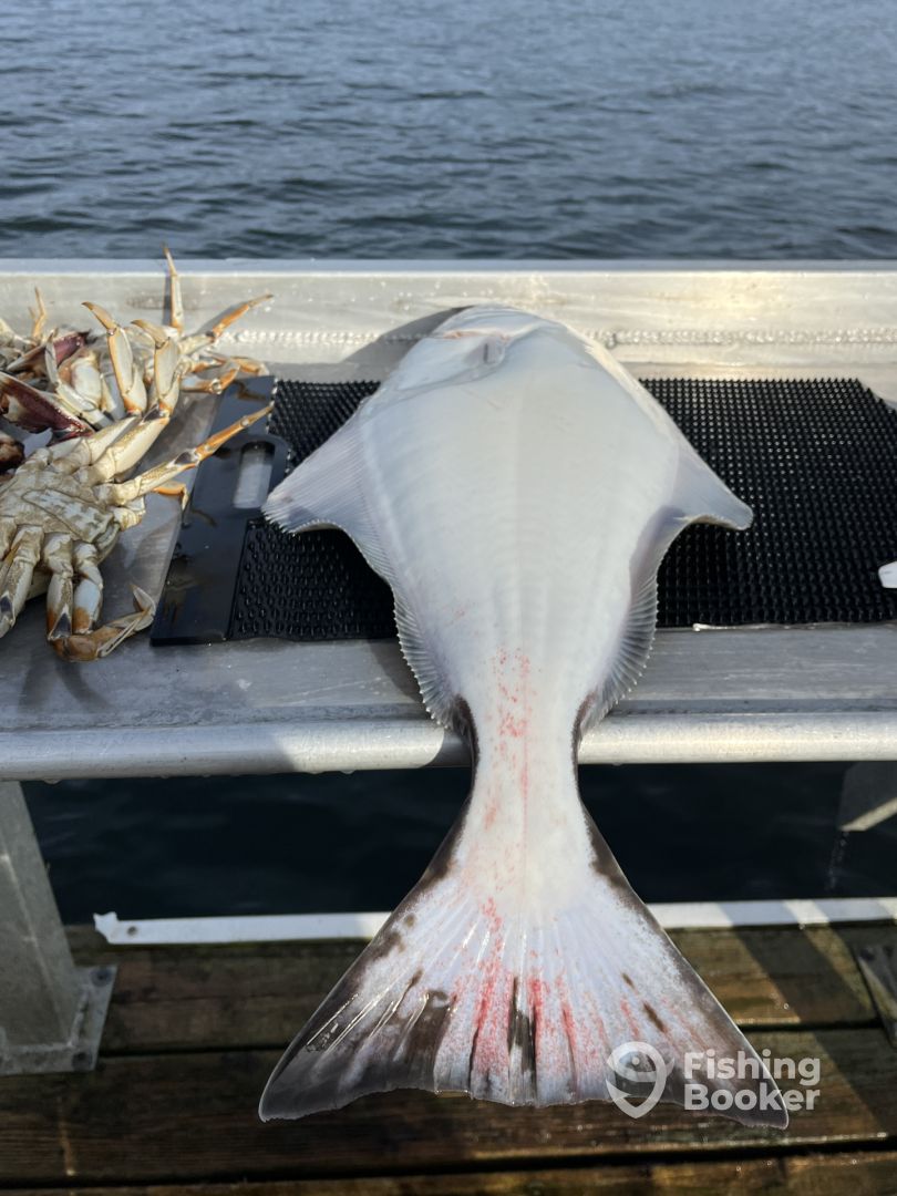 Sooke Report Photo 0