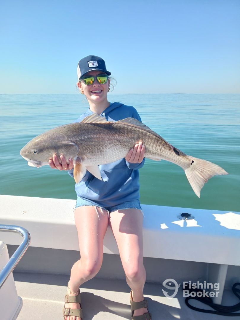 Hilton Head Island Report Photo 0