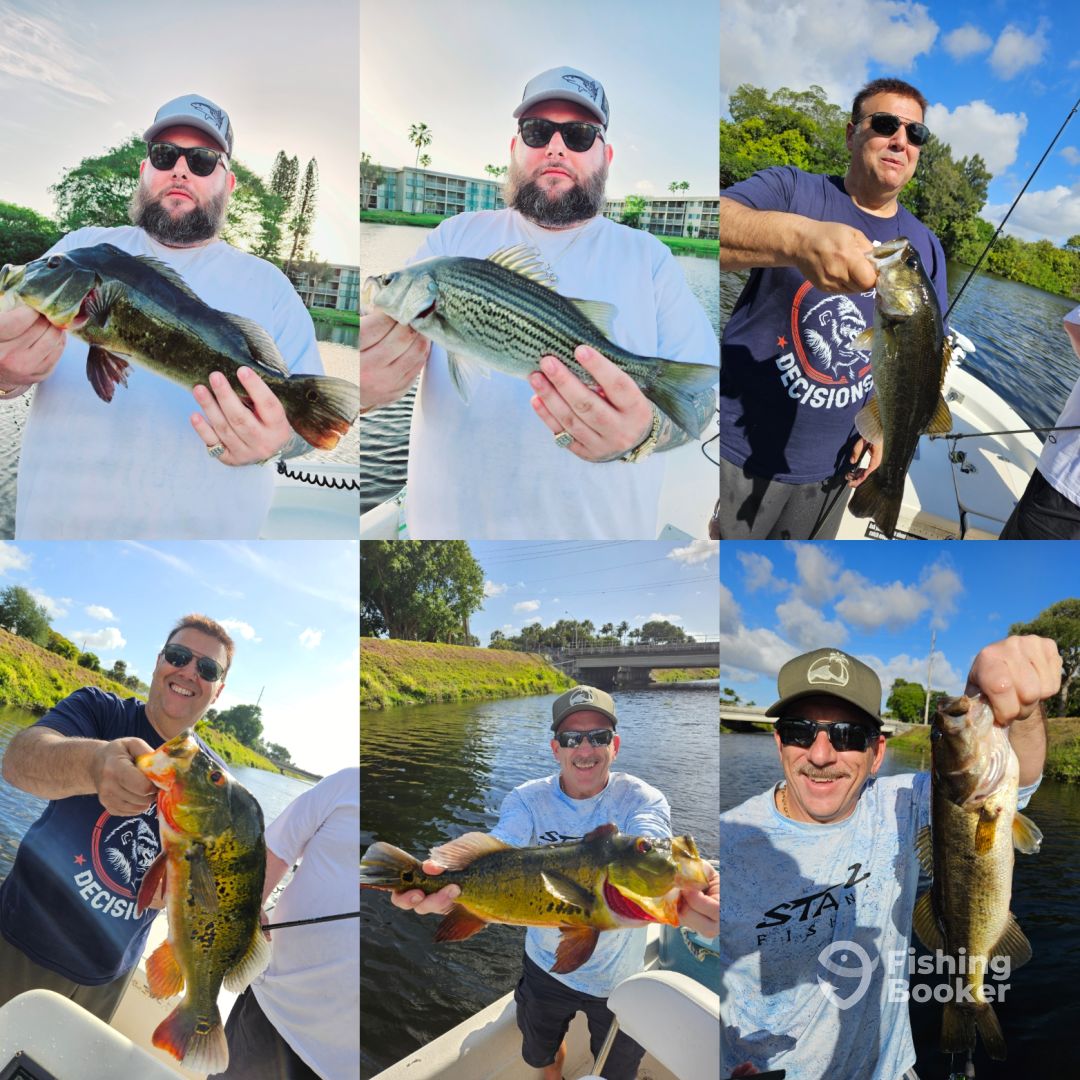 Delray Beach Report Photo 0