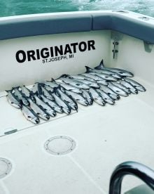 Great Coho Salmon fishing right now!