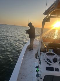 Port Isabel Report Photo 1