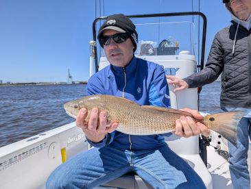 Jacksonville Report Photo 2