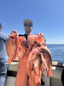 Amaing rockfishing happening right now 