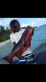 Reef Fish