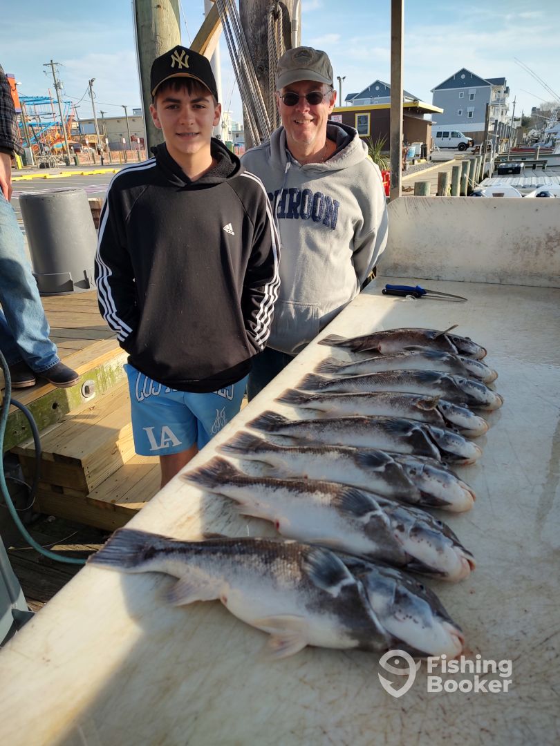 Ocean City Report Photo 0