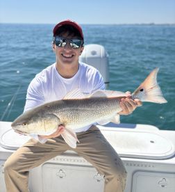 Everything is Biting!