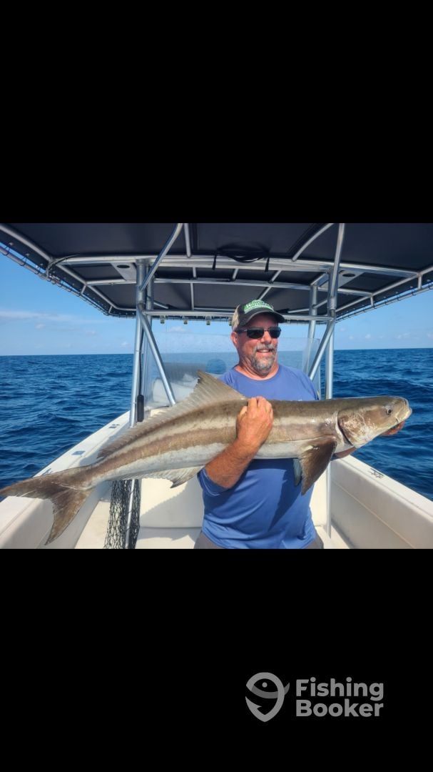 Tampa Bay Report Photo 0