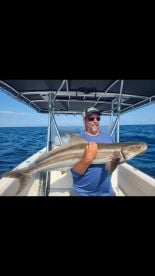 Hungry fish