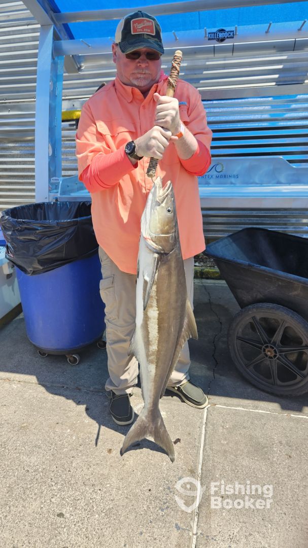 Destin Report Photo 0