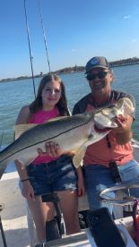 Snook