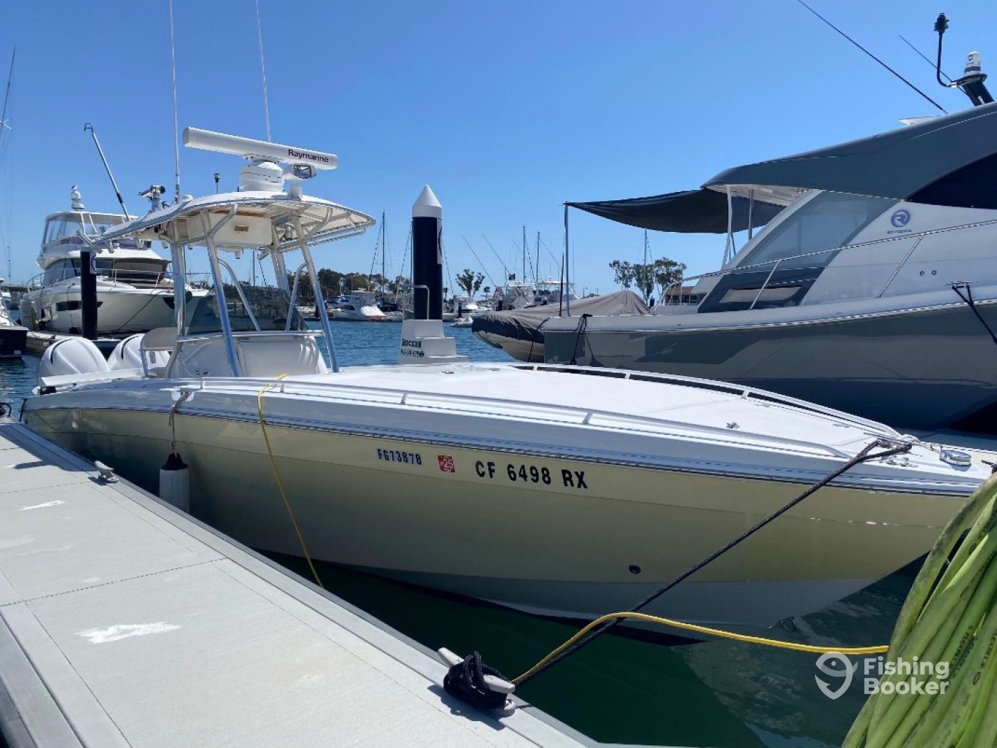 Dana Point Report Photo 0