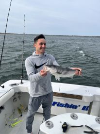 New York City Report Photo 2