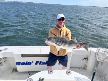 New York City Report Photo 1