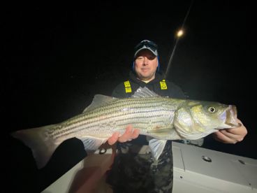 Bite turned on after the sunset!
